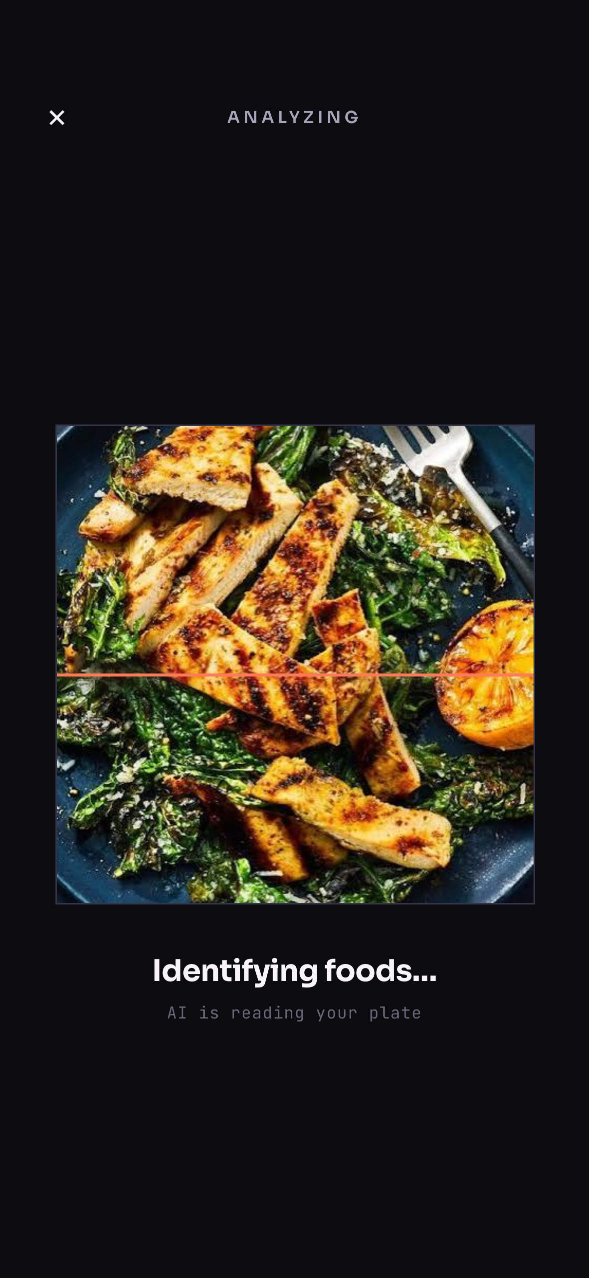 ProteinQuest identifying a meal from a photo